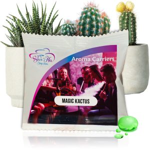 Solo Magic Kactus